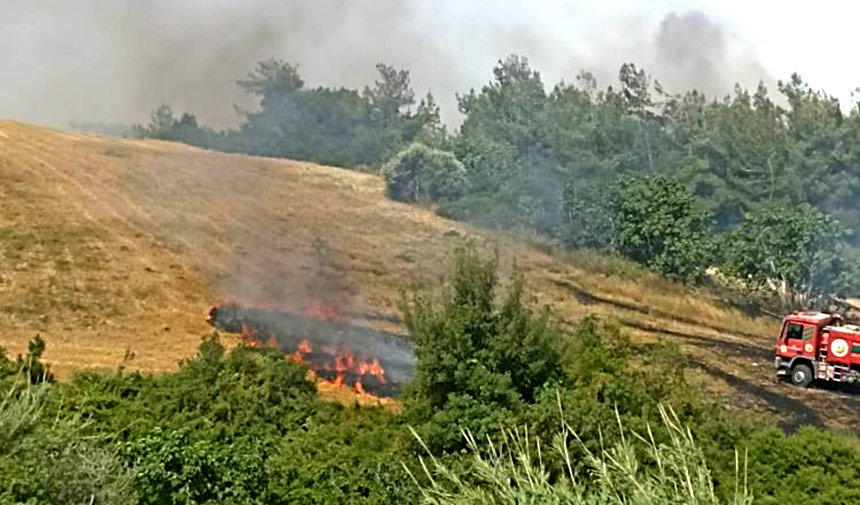 Adana’da buğday tarlasında anız yakıldı
